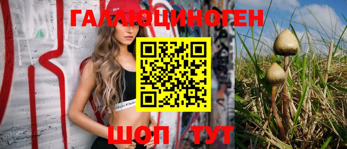 Псилоцибиновые грибы GOLDEN TEACHER Пугачёв