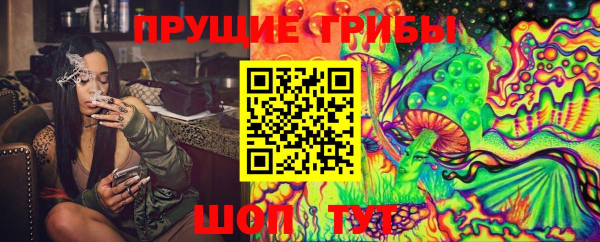 Галлюциногенные грибы Cubensis  Вход с VPN  Пугачёв 